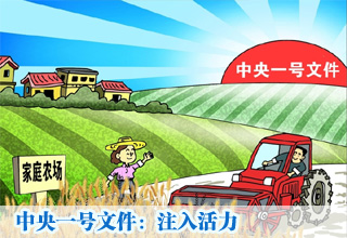 中央一号文件:注入活力