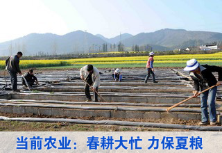 当前农业生产形势:春耕大忙 力保夏粮