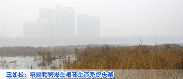 王如松代表：雾霾频繁发生 根子在生态系统失衡
