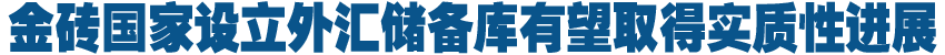 金砖国家拟建立外汇储备库 织就安全网应对金融风险