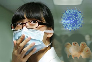 H7N9禽流感防治攻略