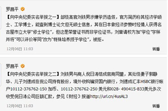 罗昌平:将公布举报刘铁男“来龙”