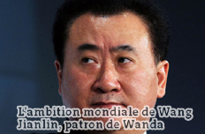 《世界报》网站刊文介绍王健林