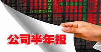 2013上市公司半年报