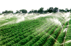 【4月3日】部署现代农业配套改革试验工作