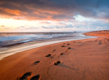 究竟是蓝海还是红海