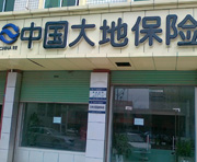 大地保险