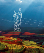 快马加鞭推进土地改革