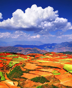 土地改革将向纵深挺进