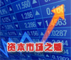 资本市场之惑