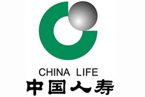 中国人寿简介