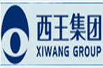 西王集团简介