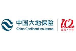 中国大地保险