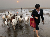 信贷员在回访客户路上