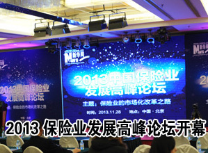 直播：2013中国保险业高峰论坛