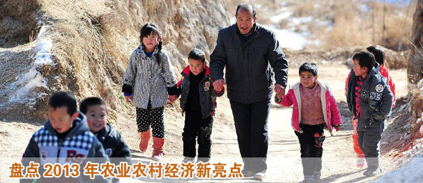 盘点2013年农业农村经济新亮点