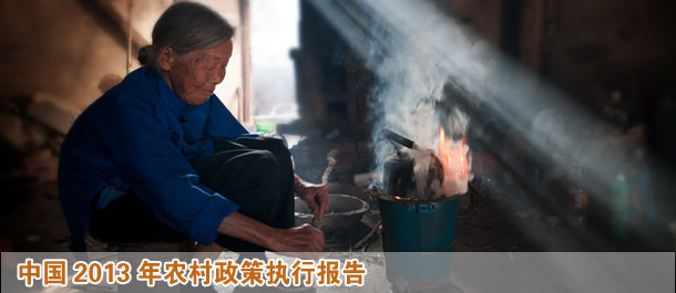 中国农村政策执行报告