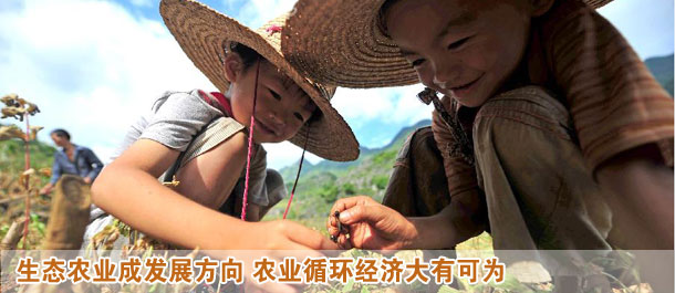 生态农业变身高富帅 农业循环经济大有可为