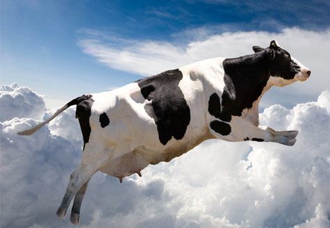 袋奶奔向“2元时代” 奶价究竟被谁“逼疯”