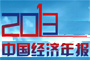 2013中国经济年报