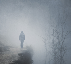 恐龙入市前途难料