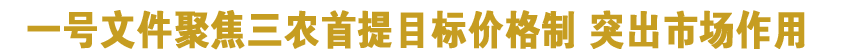 一号文件聚焦三农首提目标价格制 突出市场作用