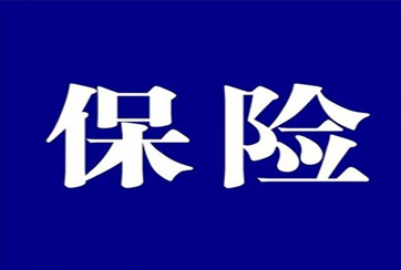 实质：一年期万能险！