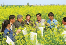 “金穗惠农通”农民受益多