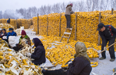 普惠金融助农同步奔小康