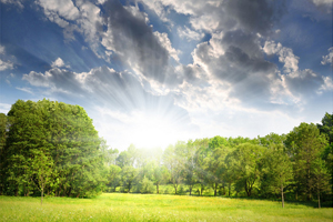 绿增长:环境问题带来的新商机