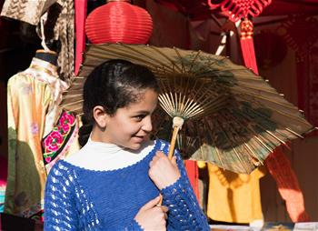 埃及舉辦第四屆&ldquo;法老村&rdquo;國際文化節