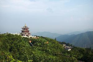 慈溪支行:畅行经济发展“高速路”