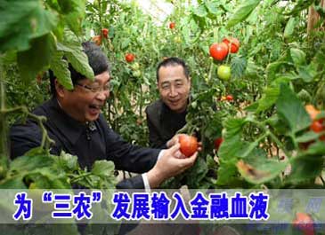 为“三农”发展输入金融血液