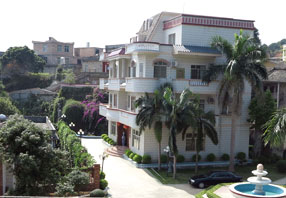 深山“凤凰”展新姿