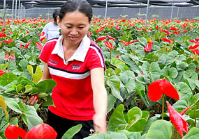 为农乐享惠农策 真情付出苦也甜