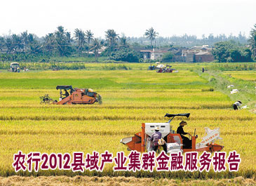 农行2012年县域产业集群金融服务报告