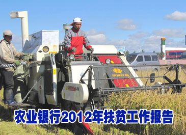 中国农业银行2012年扶贫工作报告