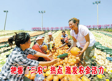 把握“三农”热点 激发农金活力