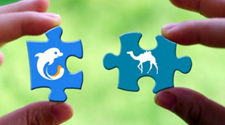 财&middot;发现：盘点今年互联网行业重磅整合