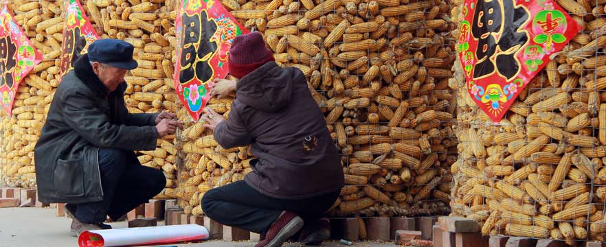 《&ldquo;福&rdquo;满仓》 朱亚云/摄