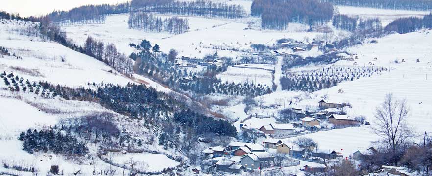 《水墨松岭》 薛振刚/摄