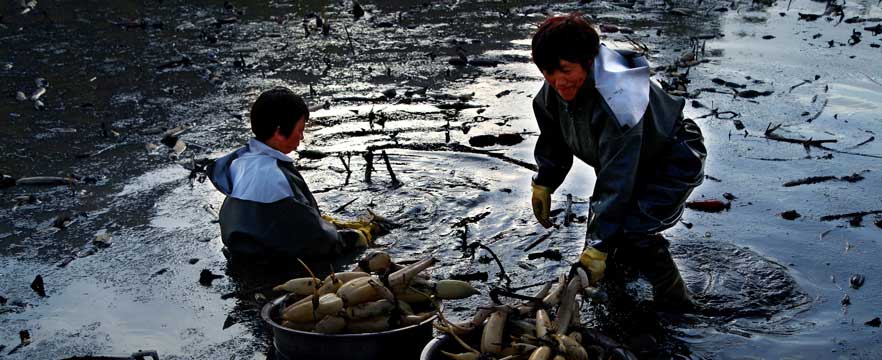 《劳动的身影》 冯承庆/摄