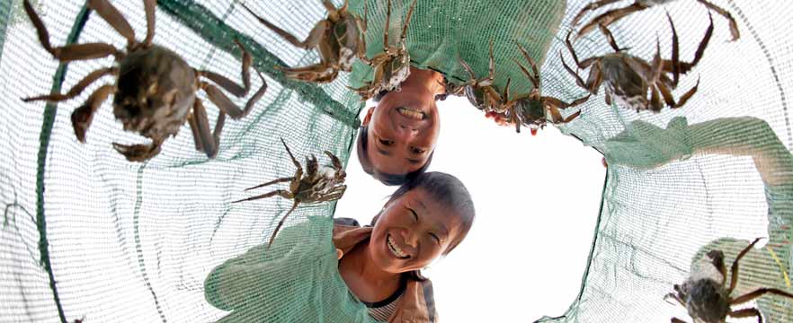 《丰收的喜悦》 贺敬华/摄