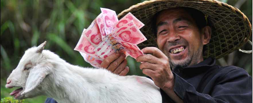 《发&ldquo;羊&rdquo;财了》 华威/摄