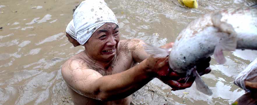 《鱼丰收》 黄善明/摄
