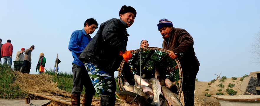 《水中鱼虾肥》黄书荣/摄
