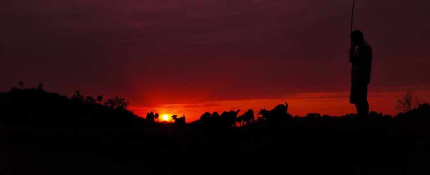 《牧羊人》 李茂山/摄