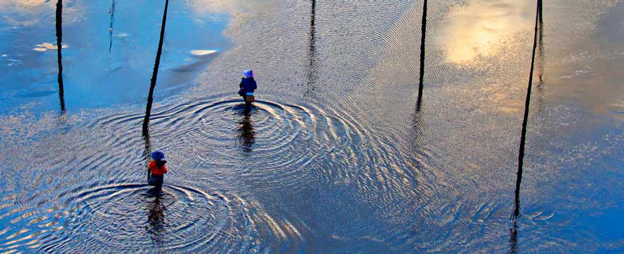 《晨捕》 林辉/摄