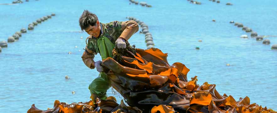 《海底捞金》 刘念琳/摄