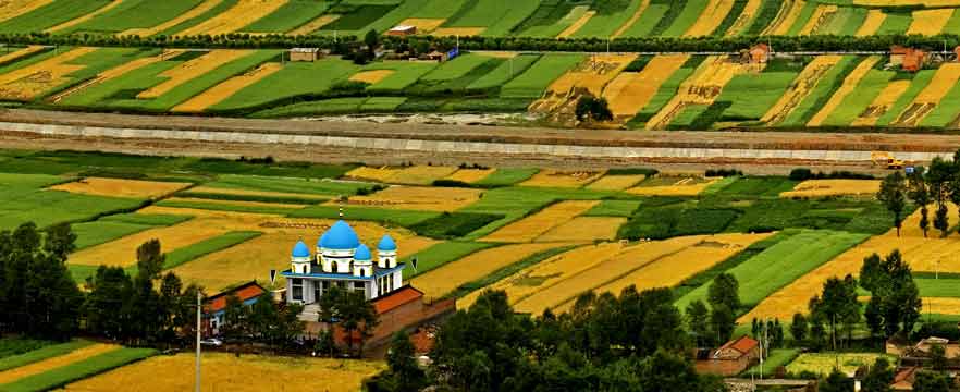《希望的田野》 马学英/摄